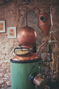 Distillerie du Chant du Cygne - Crédit Pablo Lerey - BGE Tarn 2