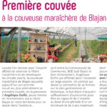 Image article couveuse BGE Comminges - juin 2022